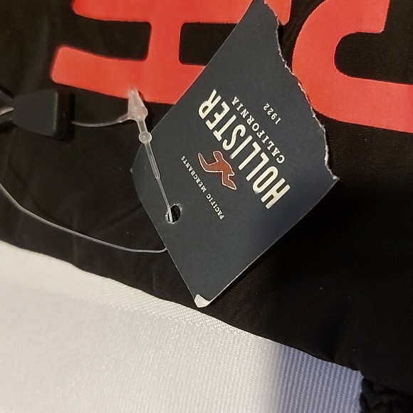 HOLLISTER BACKPACK NWT! - Picture 2 of 3
